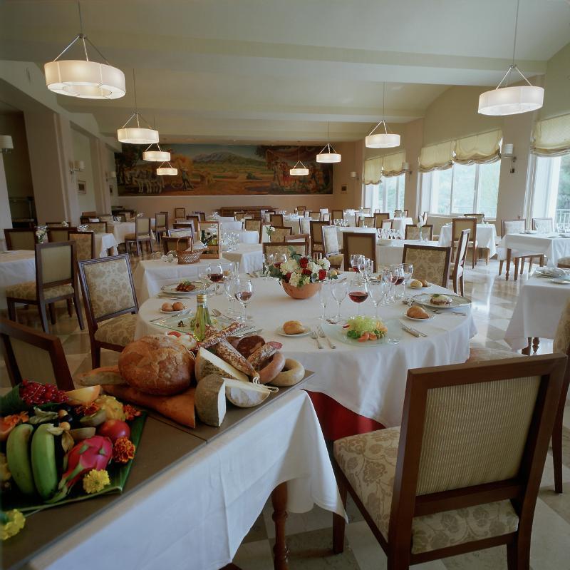 Hotel De Vic-sau 4*